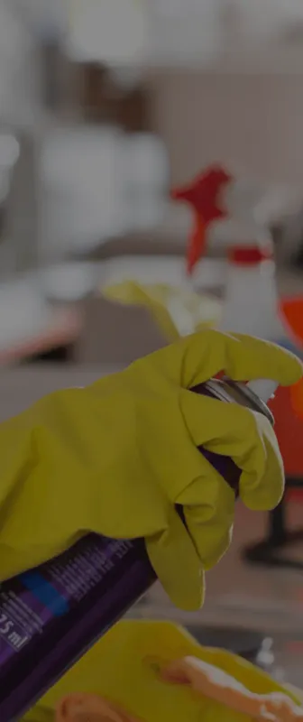 Reliable Residential & Commercial Cleaning in Evansville, IN